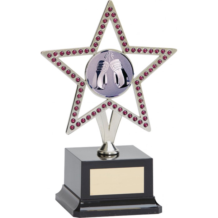  10'' SILVER METAL STAR WITH PURPLE GEMSTONES - BOXING TROPHY